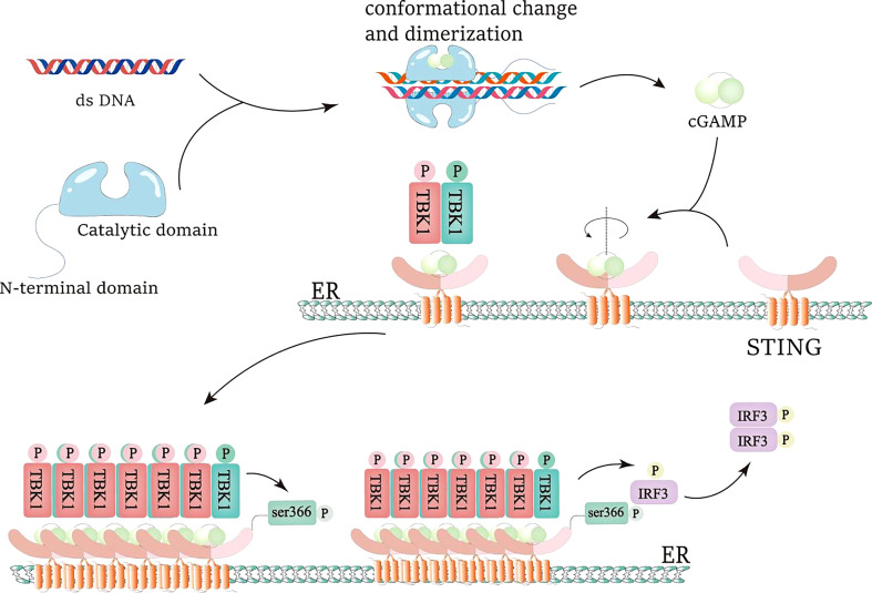 Figure 1