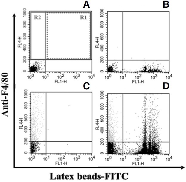 Fig. 4.