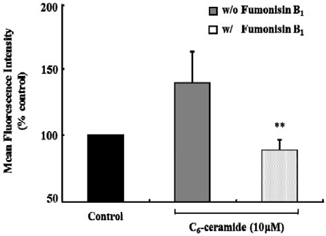 Fig. 8.