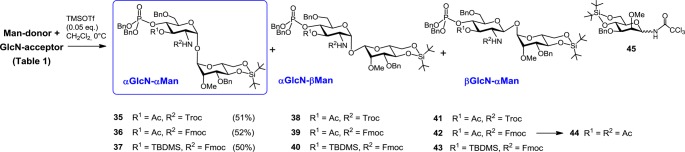 Scheme 5