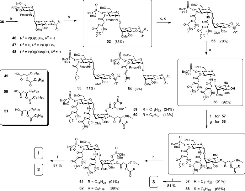 Scheme 6