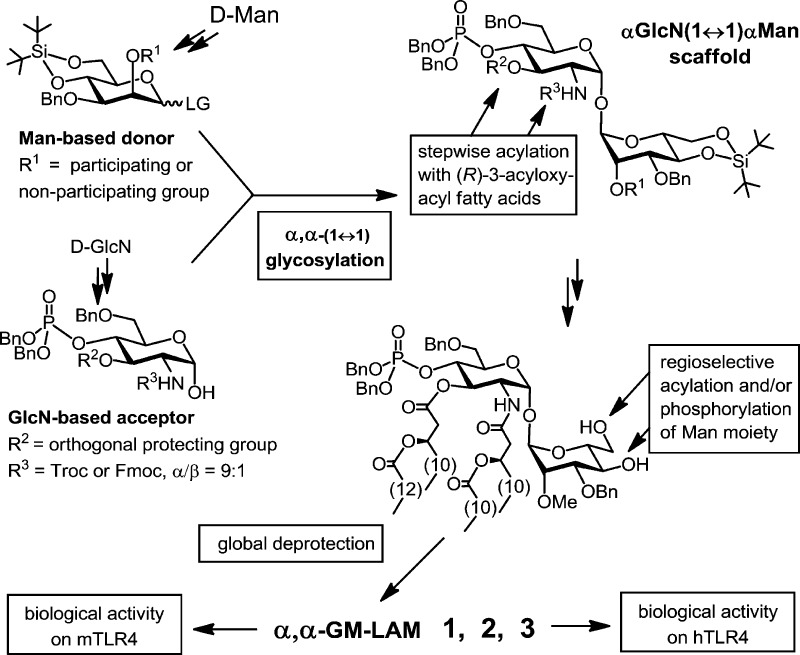 Scheme 1