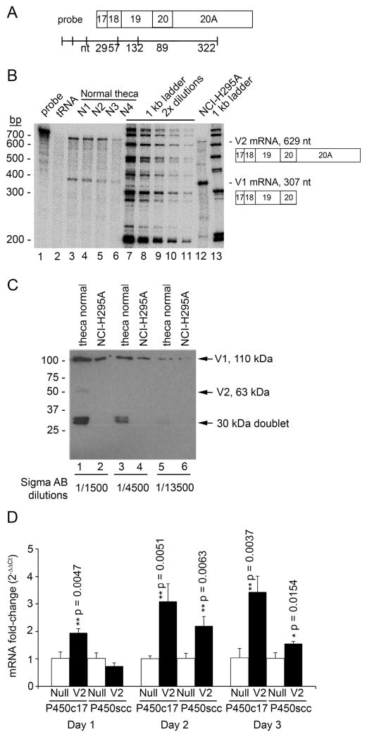 Fig 5