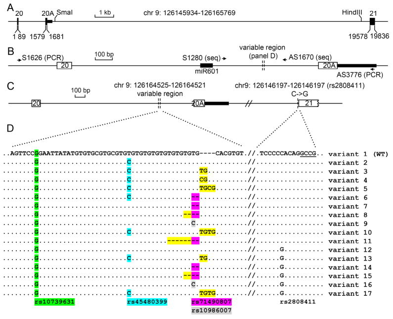 Fig 1