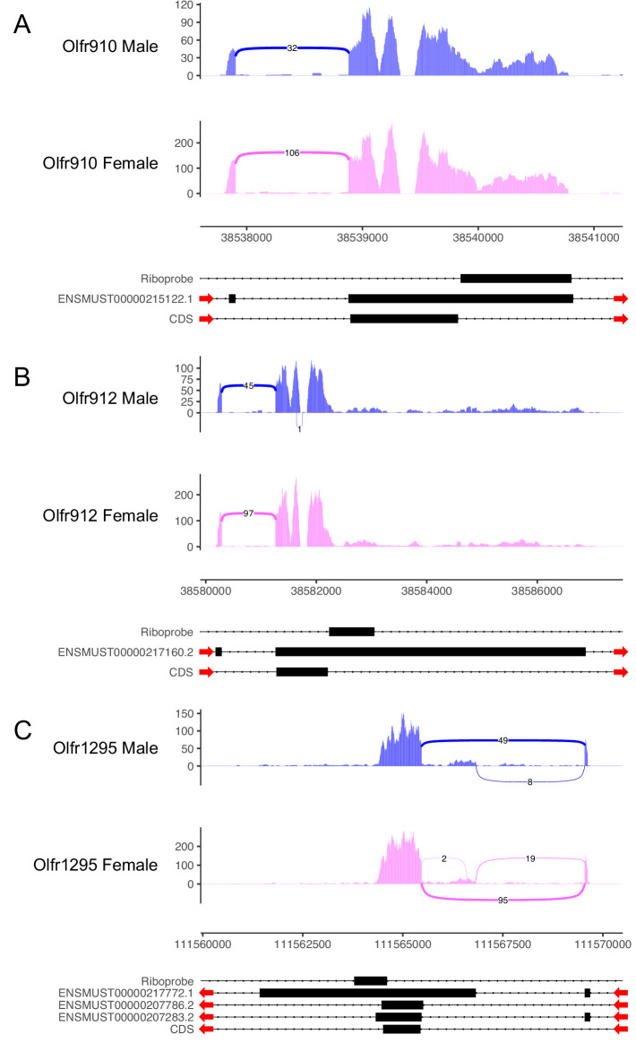 Figure 2—figure supplement 1.