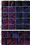 Extended Data Fig. 9 |