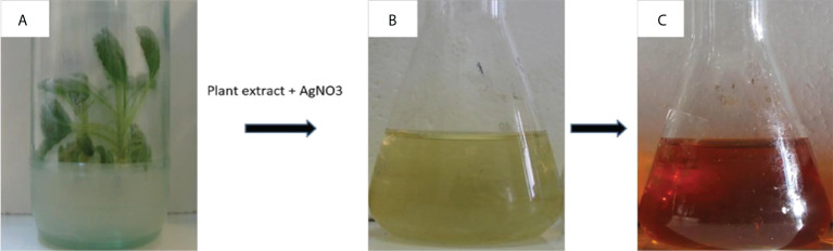 Figure 3