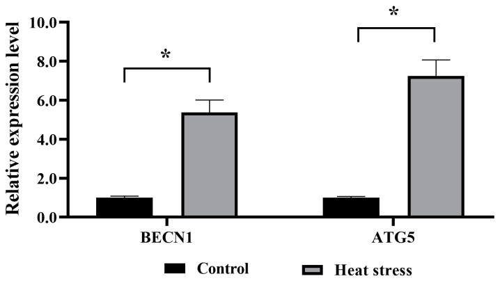 Figure 12