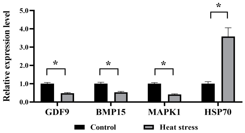 Figure 15