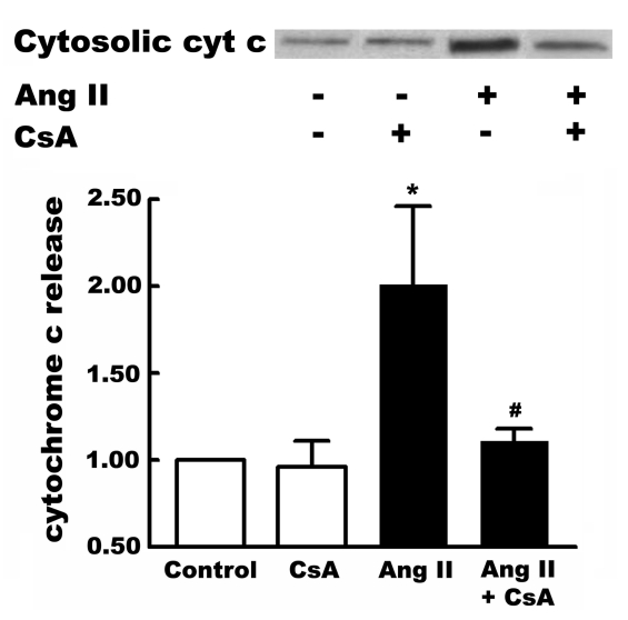 Figure 3)