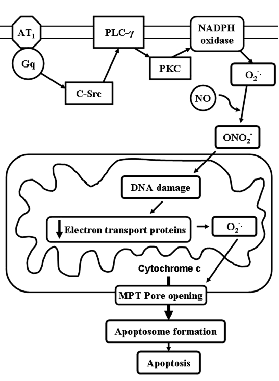 Figure 5)