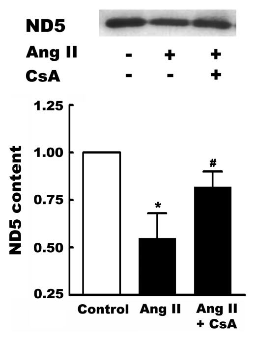 Figure 2)