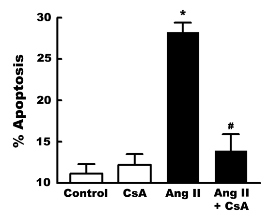 Figure 4)