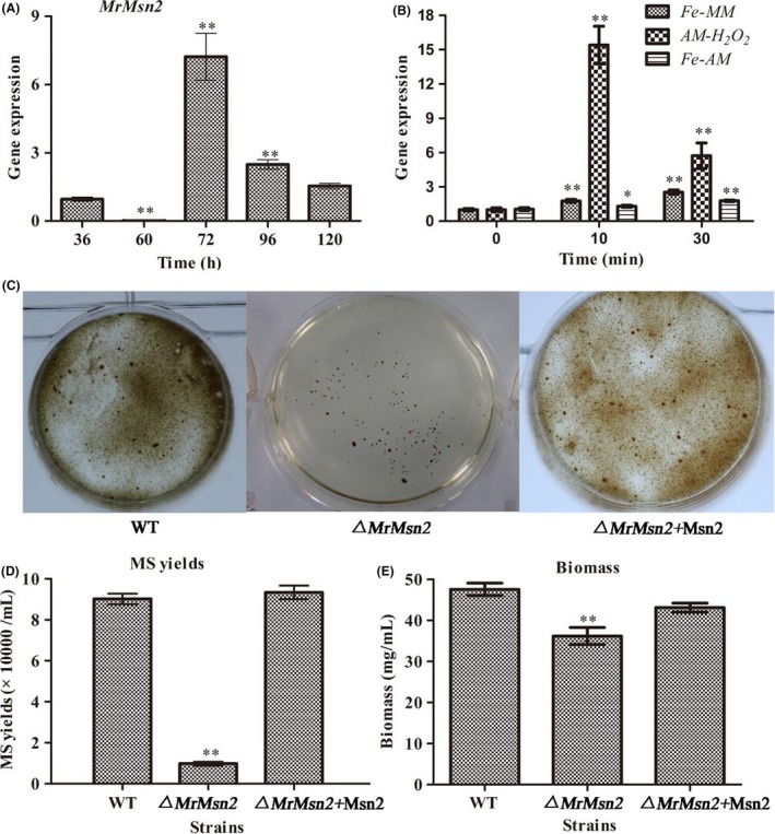 Figure 4