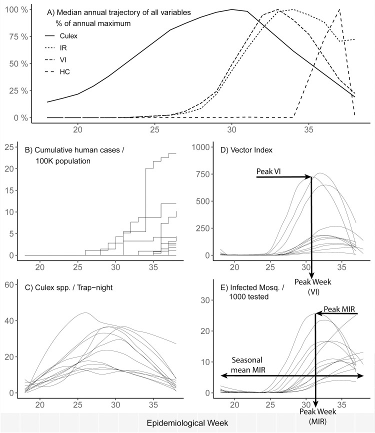 Fig 2