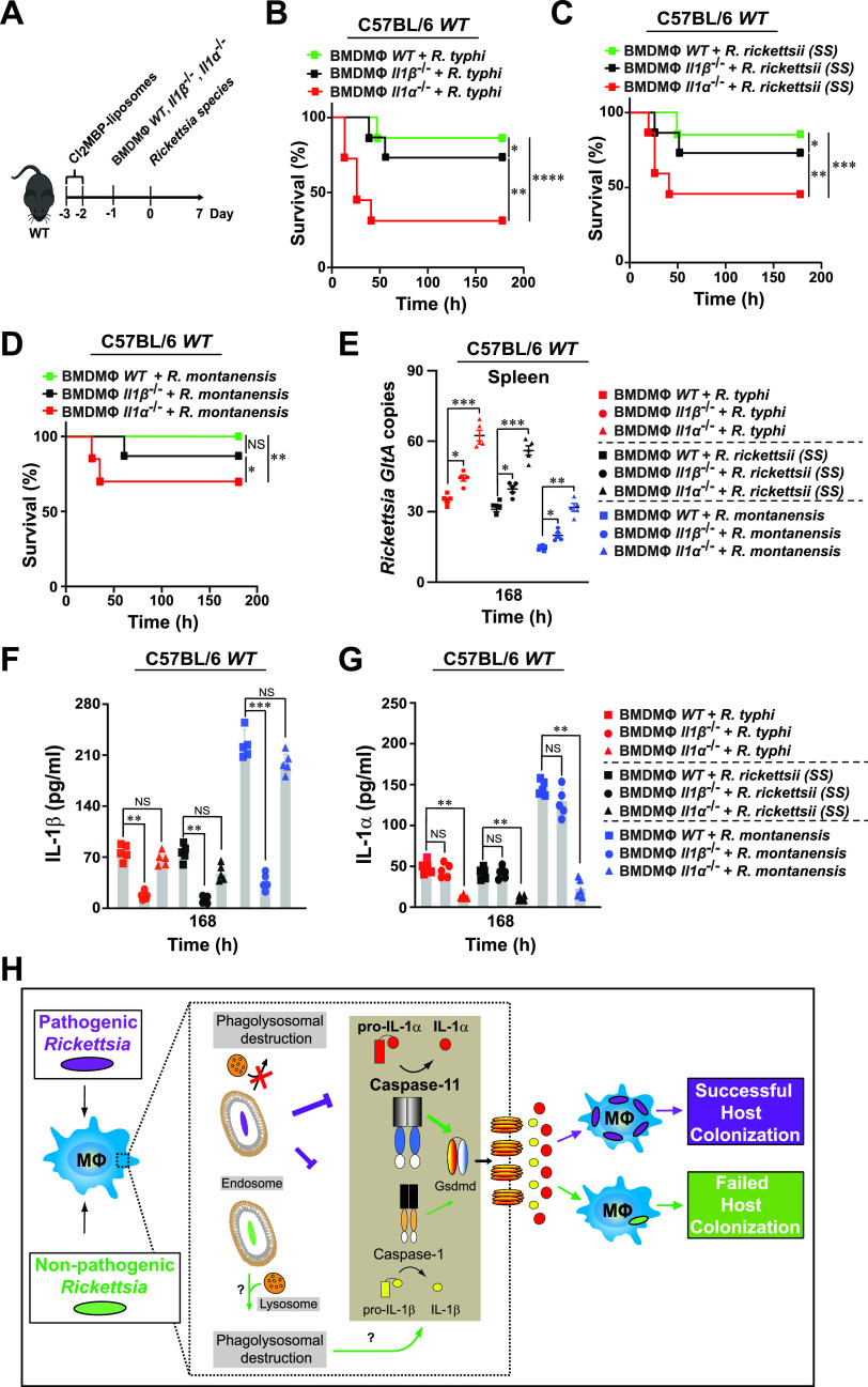 FIG 6