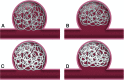 Fig 2.