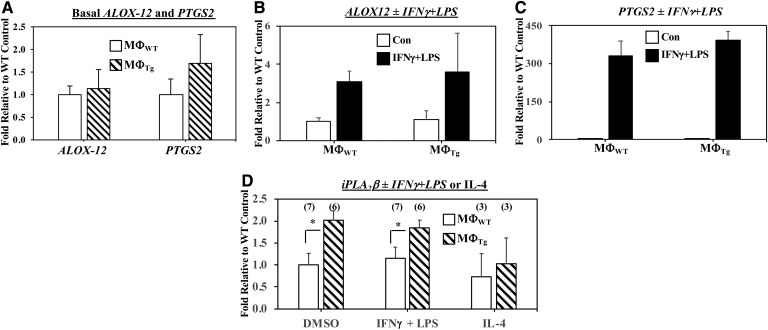 Fig. 12.