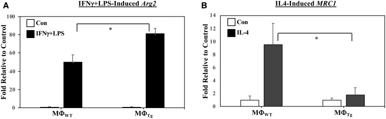 Fig. 11.