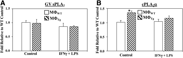 Fig. 10.