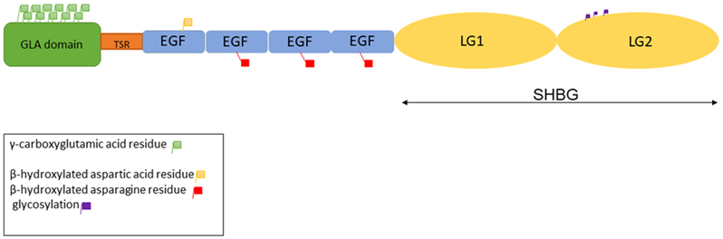 Figure 1-