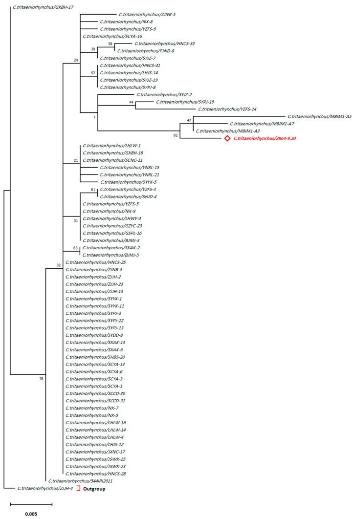 Figure 3