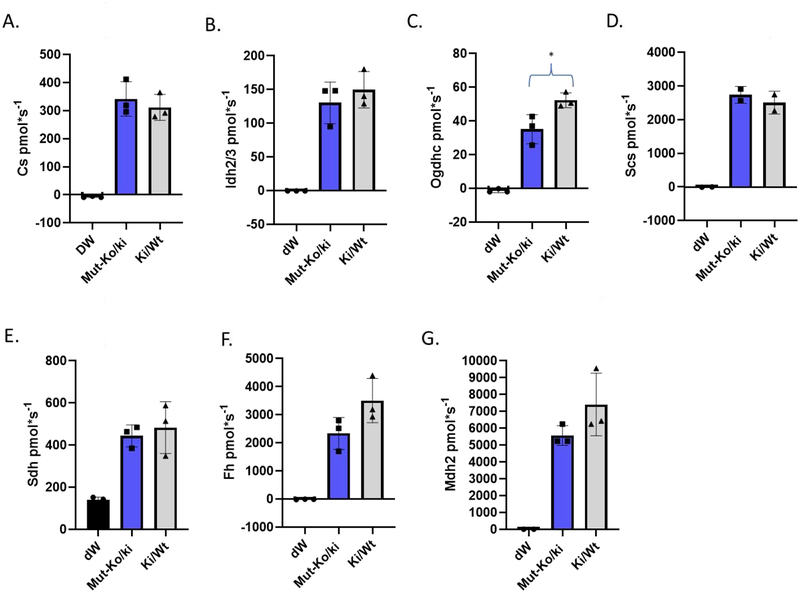 Figure 3: