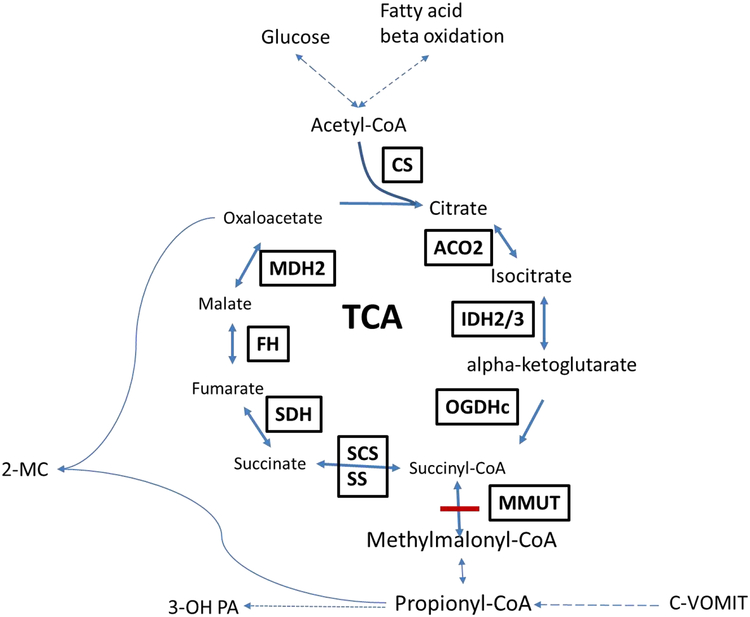 Figure 1: