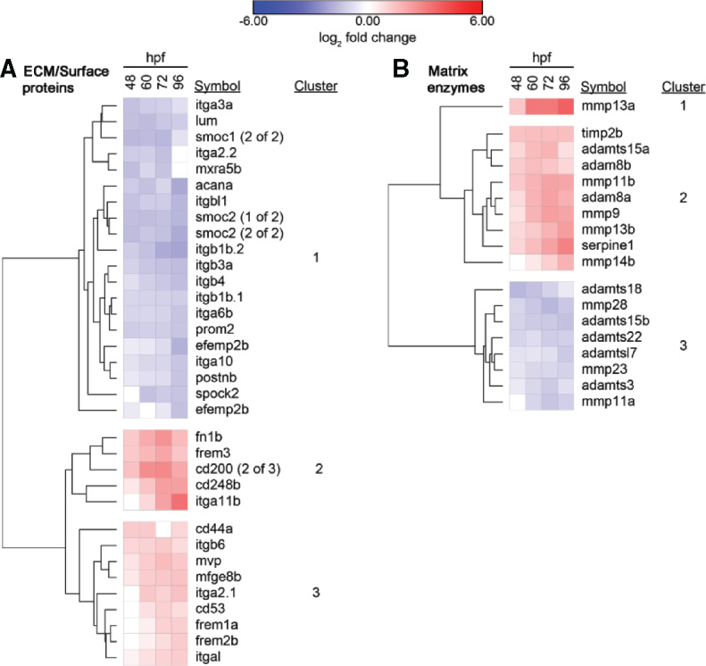Figure 12.