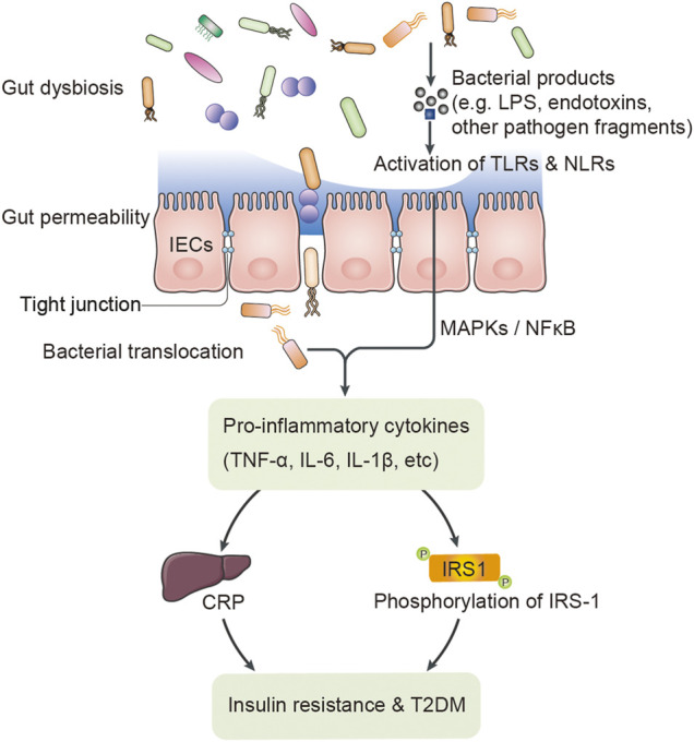 FIGURE 1