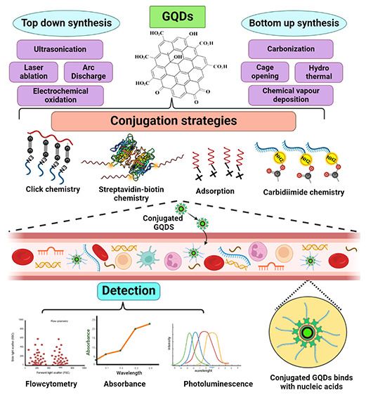 graphic file with name ao2c05414_0007.jpg