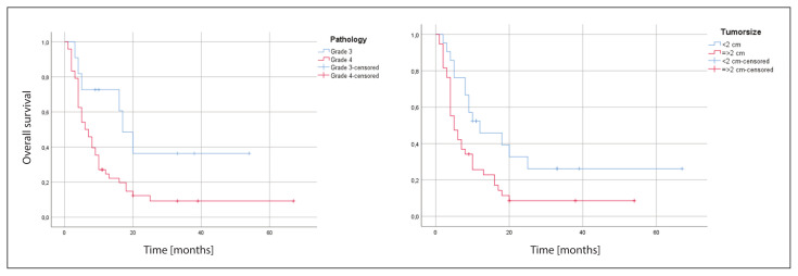 Figure 2AB