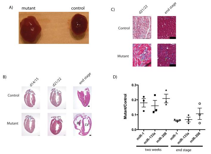 Fig.3