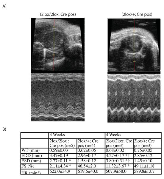 Fig.4