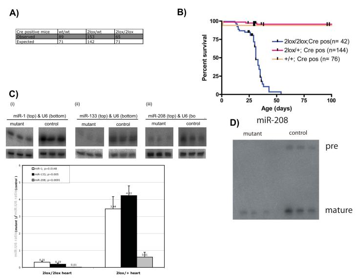 Fig.2