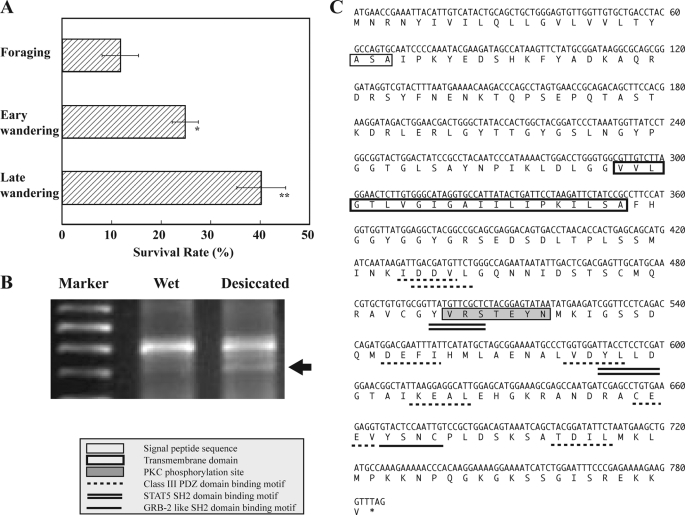 FIGURE 1.