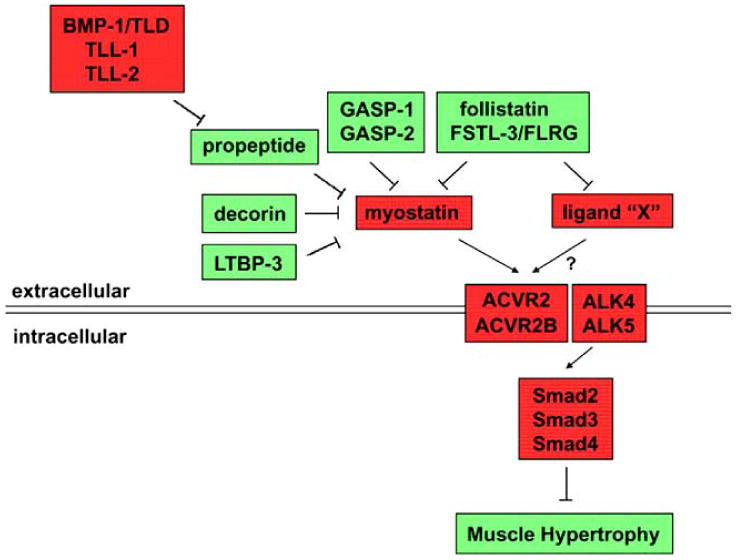 Fig. (1)