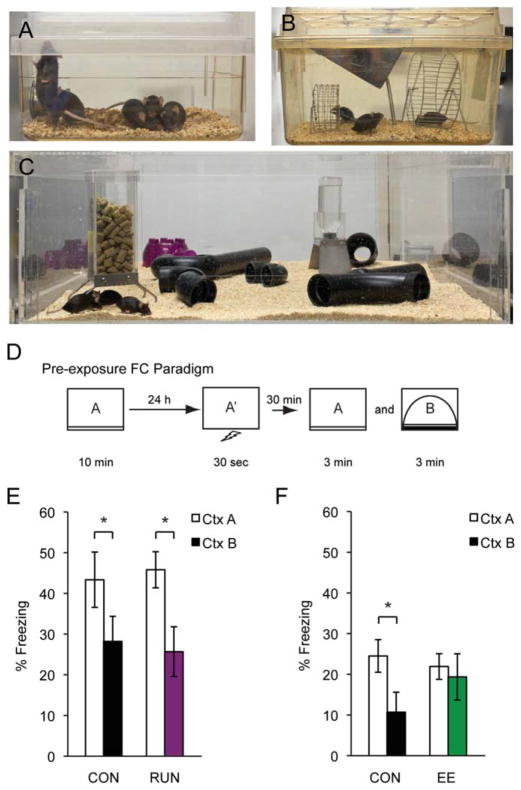 FIGURE 1