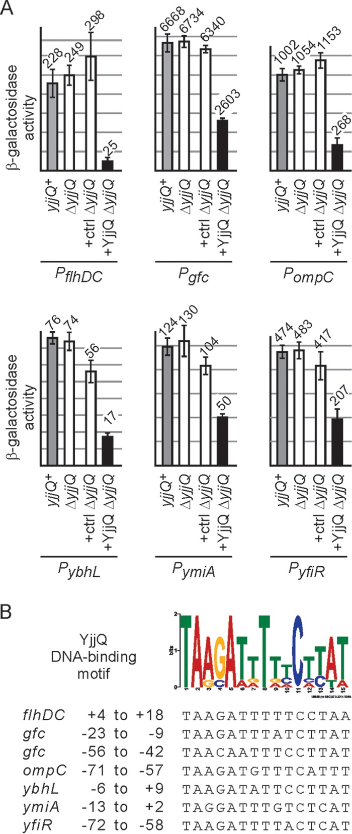 FIG 1