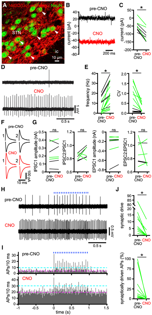 Figure 5.