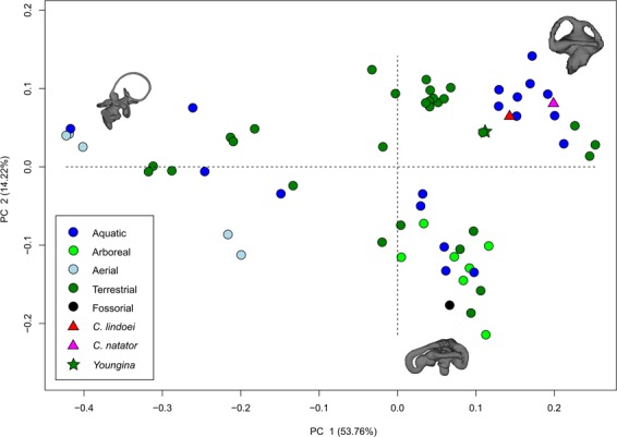 Figure 10