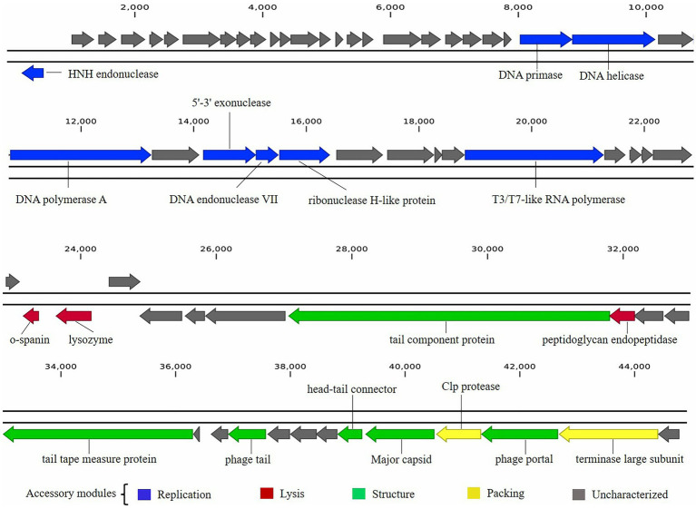 Figure 5