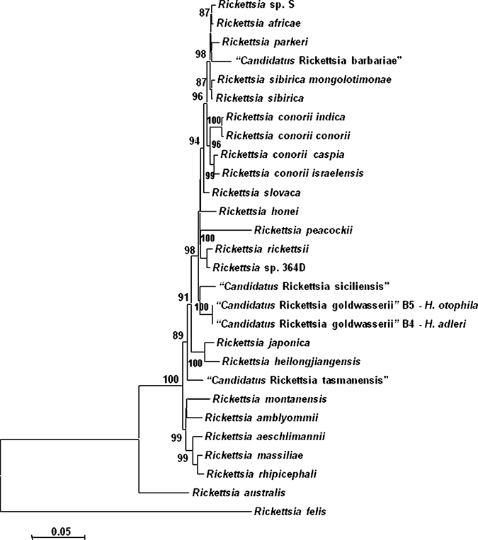 Figure 1.