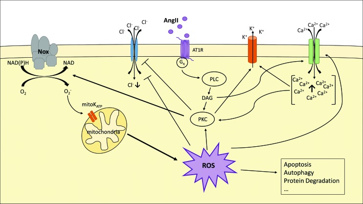 FIG. 6.