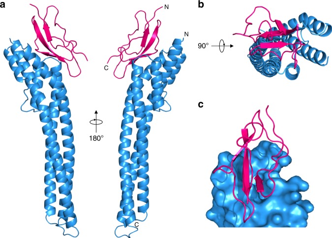 Fig. 3