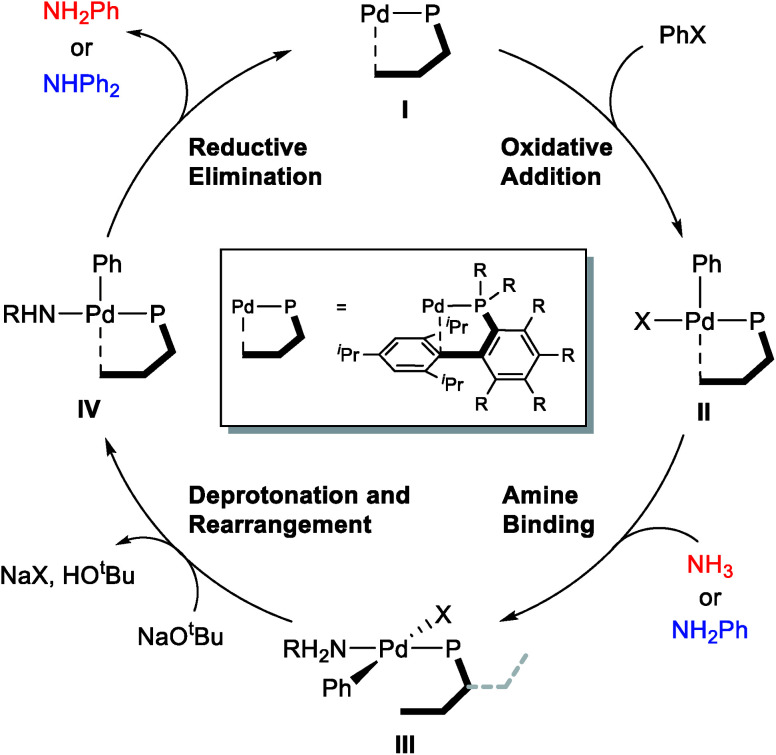 Scheme 2