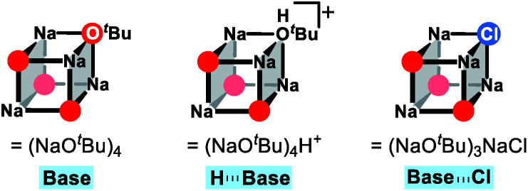 Scheme 3