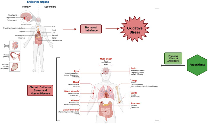 Figure 1