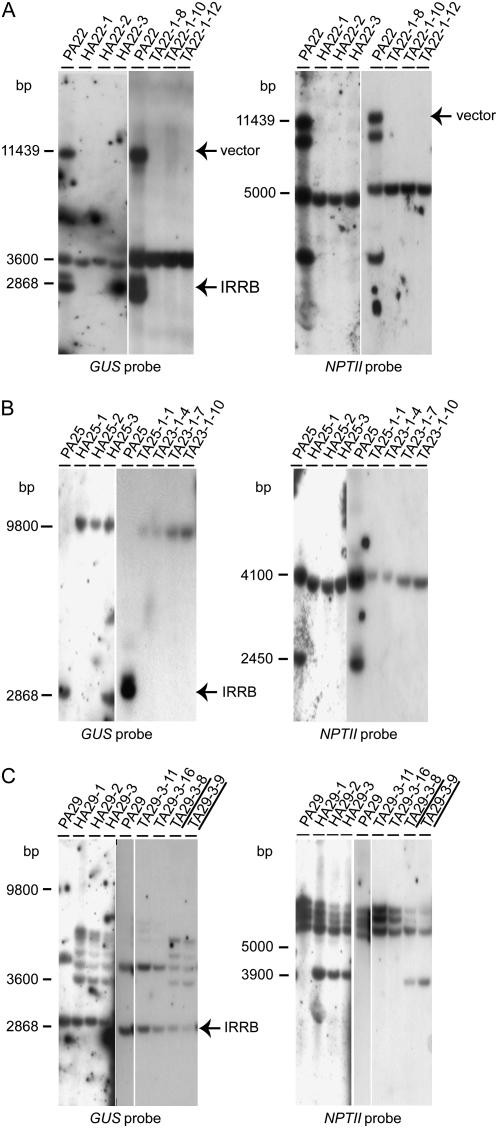 Figure 3.