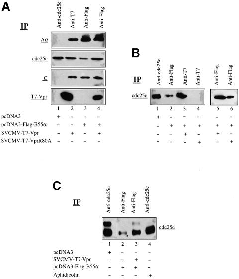 graphic file with name cdd397f6.jpg